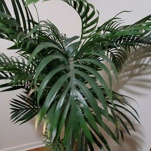 Meet your Posher, Stephen